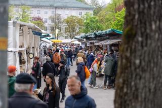 Mit 146.000 Besucherinnen und Besuchern war die Maidult heuer die beliebteste. 